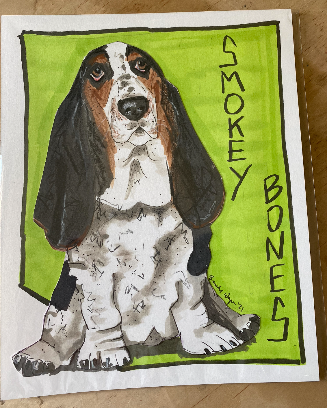 Pet Portrait
