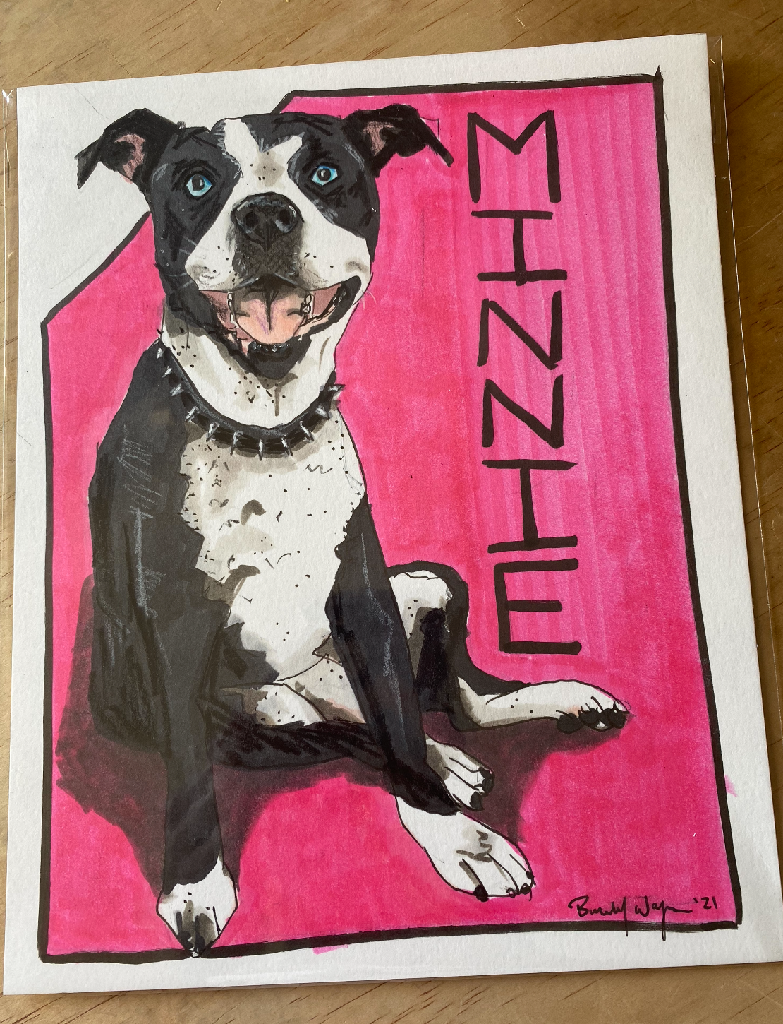 Pet Portrait