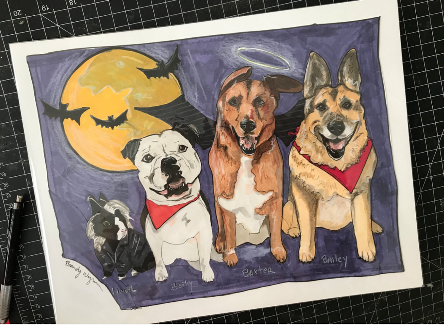 Pet Portrait