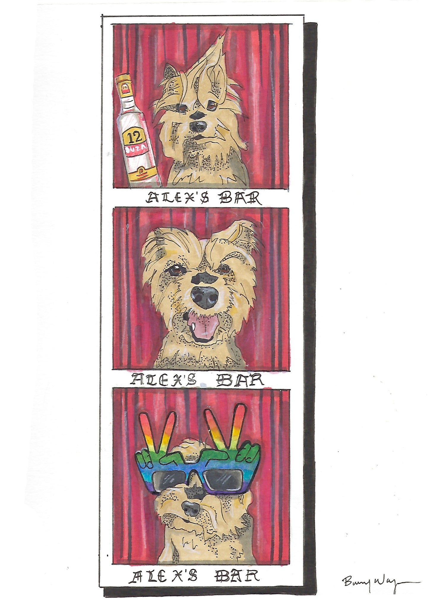 Pet Portrait