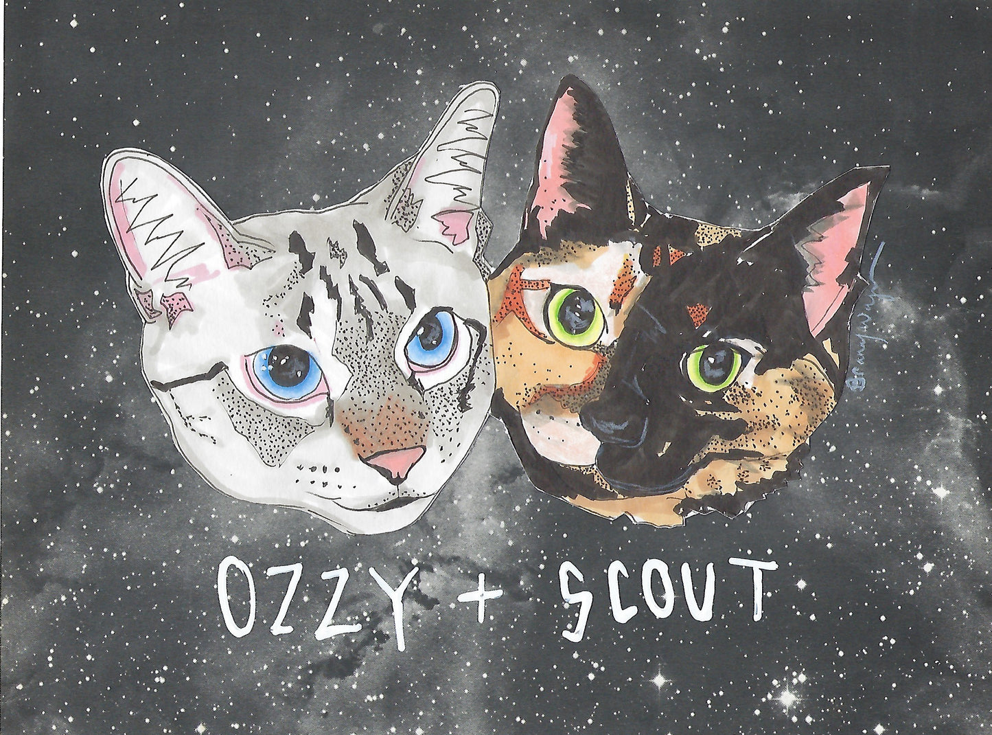Pet Portrait