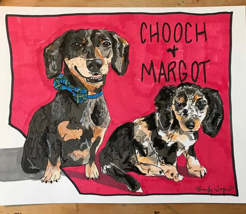 Pet Portrait 5x7hand drawn pet portrait