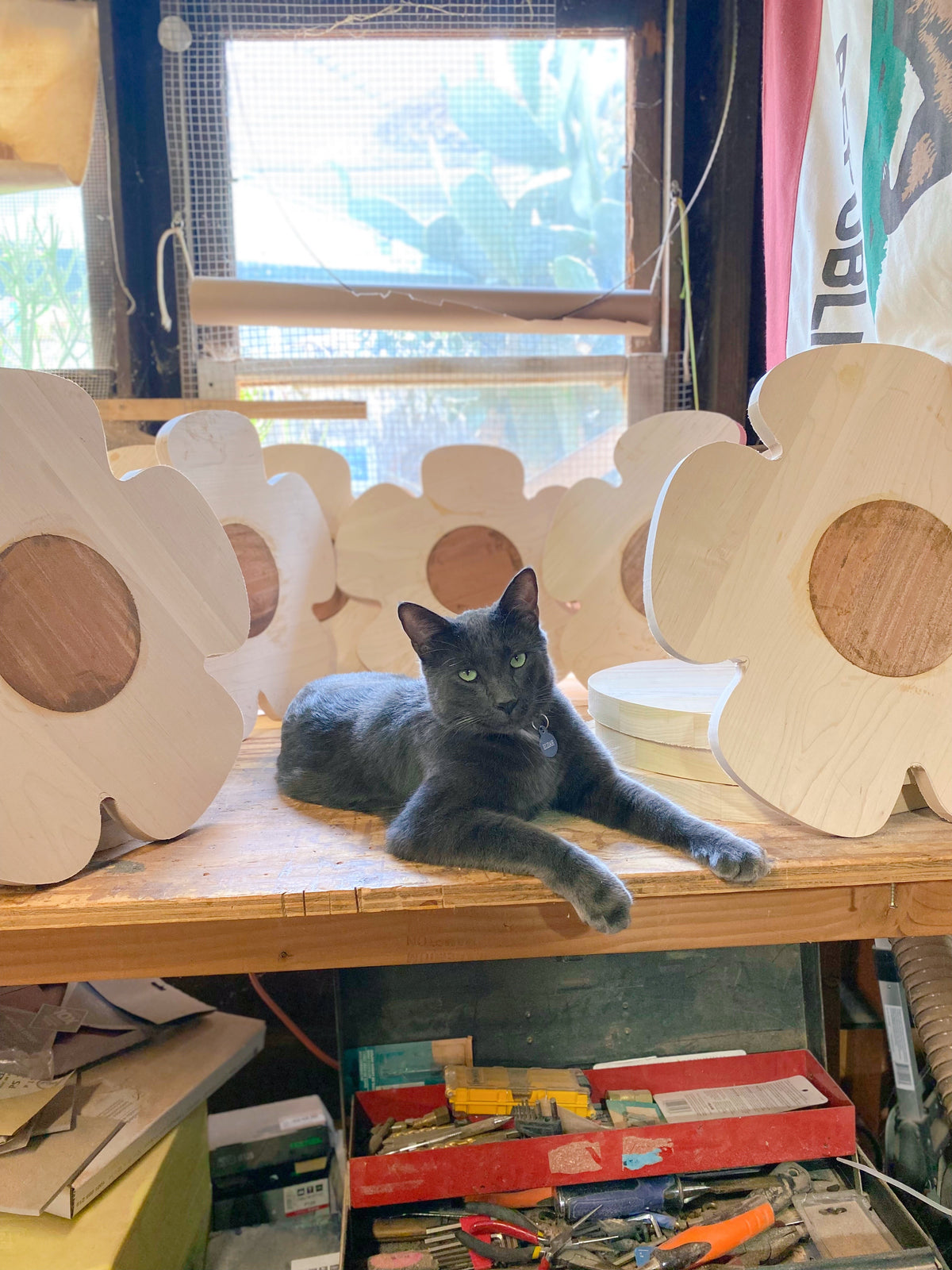 Mini Magic Cat | Cat Cutting & Charcuterie Board