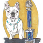 hand drawn pet portrait